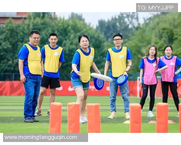 飞盘竞技与团队精神的完美结合：深入探讨北京飞盘队的协作之道