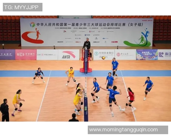 最新排球个人能力排行榜揭晓广州排球队球员表现抢眼位居前列